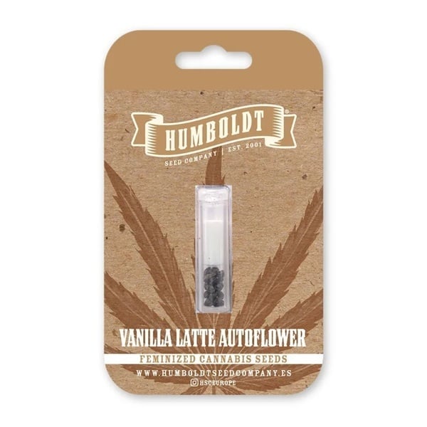 Vanilla Latte Auto (Humboldt Seed Company) Femminizzata