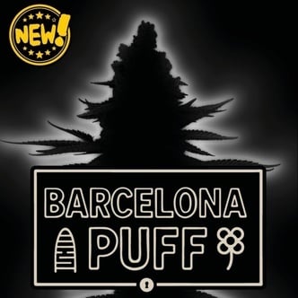 Barcelona Puff Auto (Seedstockers) Femminizzata