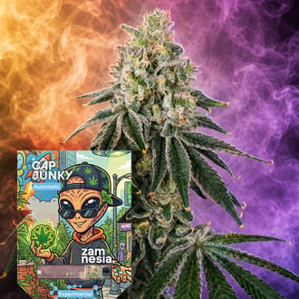 Cap Junky Auto (Zamnesia Seeds) Femminizzata