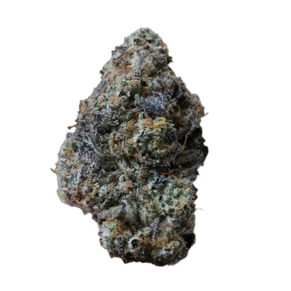 Gary Sherbet (Fast Buds) Femminizzata