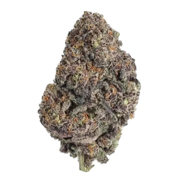 Papayton (Fast Buds) Femminizzata