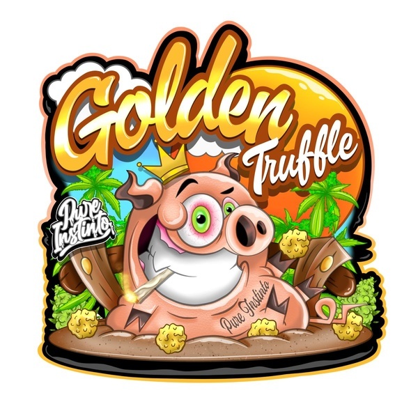Golden Truffle (Pure Instinto) Femminizzata