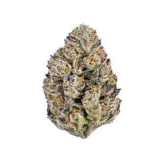 Lemon Cherry Runtz (Fast Buds) femminizzata
