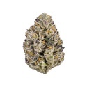 Lemon Cherry Runtz (Fast Buds) femminizzata