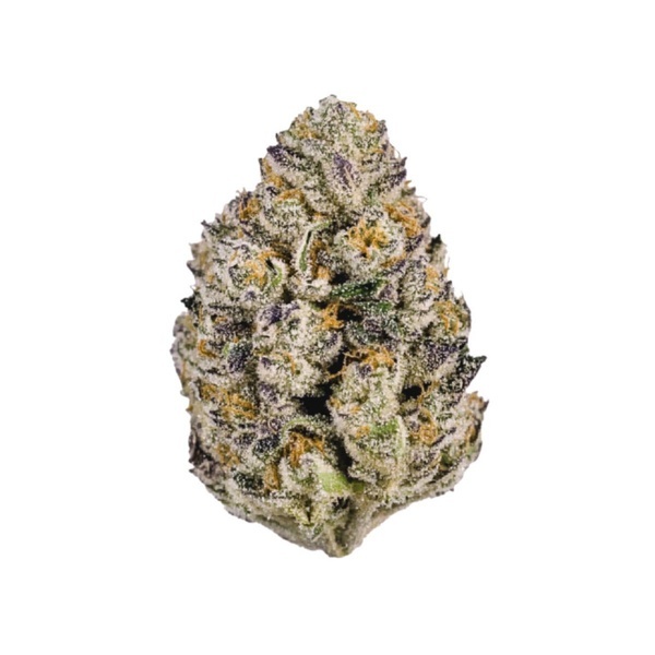 Lemon Cherry Runtz (Fast Buds) femminizzata