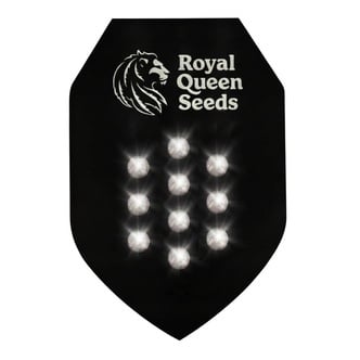 Semi Misteriosi Autofiorenti 10 (Royal Queen Seeds)