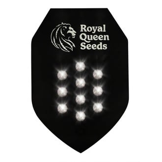 Semi Misteriosi Autofiorenti 10 (Royal Queen Seeds)
