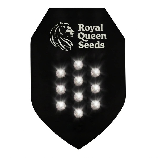 Semi Misteriosi Autofiorenti 10 (Royal Queen Seeds)