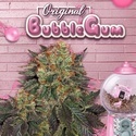 Bubblegum (T.H. Seeds) Femminizzata