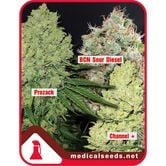Collection 1 (Medical Seeds) femminizzato
