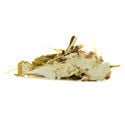 White Lotus (20 grammi)