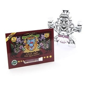 S.A.D. Auto (Sweet Seeds) femminizzata