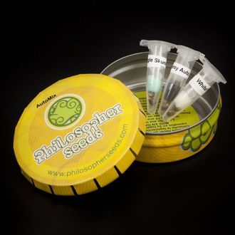 Auto Mix (Philosopher Seeds) femminizzato
