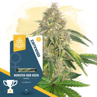 Monster Bud Kush (Zamnesia Seeds) femminizzata