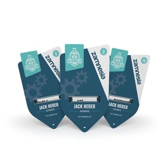 Jack Herer Auto (Zamnesia Seeds) femminizzata