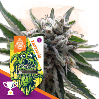 Sticky Beast Auto (Zamnesia Seeds) Femminizzata