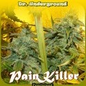 PainKiller (Dr. Underground) femminizzata