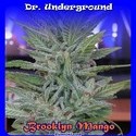 Brooklyn Mango (Dr. Underground) femminizzata