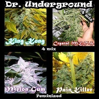Killer Mix (Dr. Underground) femminizzata