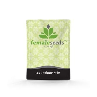 Indoor Mix (Female Seeds) femminizzato