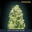 Auto Afghan Skunk (Advanced Seeds) femminizzata