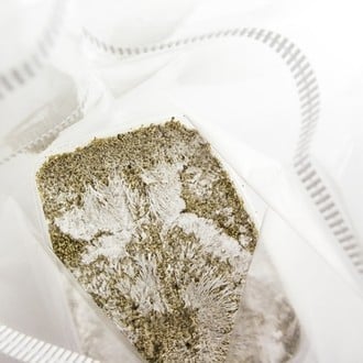 Kit Di Coltivazione Fresh Mushrooms 'B+'