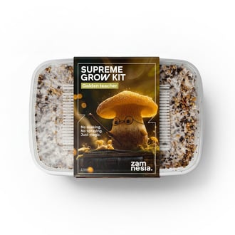 Kit Di Coltivazione Zamnesia SUPREME 'Golden Teacher'