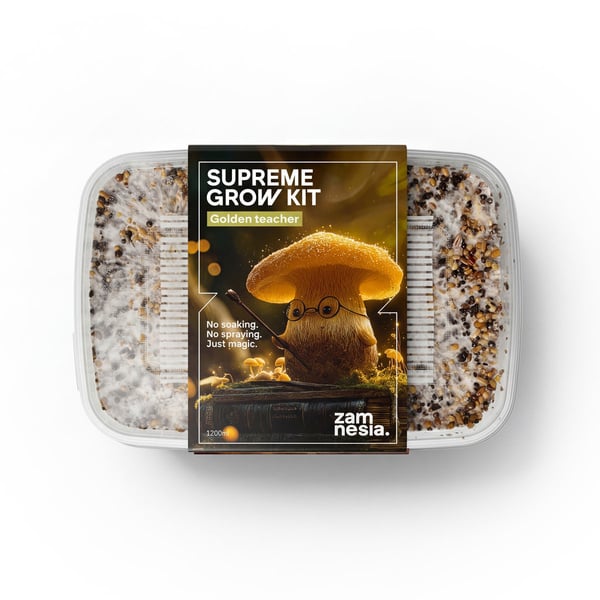 Kit Di Coltivazione Zamnesia SUPREME 'Golden Teacher'