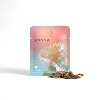 Kanna (Sceletium tortuosum) 10 semi