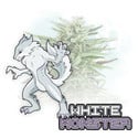 White Monster Automatic (Zamnesia Seeds) femminizzata