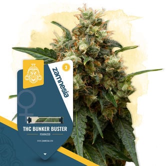 THC Bunker Buster (Zamnesia Seeds) Femminizzata