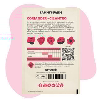 Coriandolo (Coriandrum sativum)  Buddy Pack