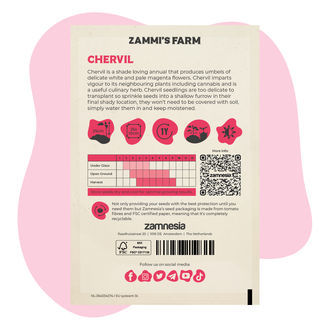 Cerfoglio (Anthriscus cerefolium) Buddy Pack