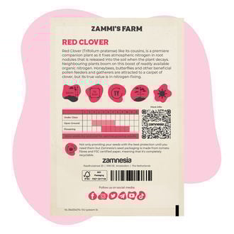 Trifoglio Dei Prati (Trifolium pratense) Buddy Pack