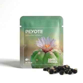 Peyote (Lophophora williamsii) 20 semi