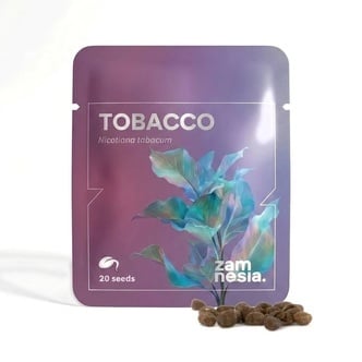 Tabacco (Nicotiana tabacum) 20 semi
