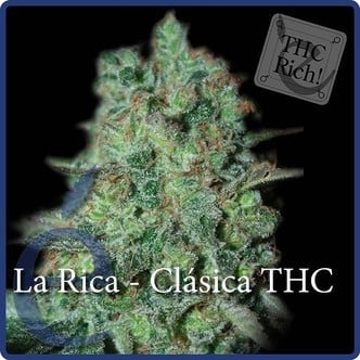 La Rica Classic THC (Elite Seeds) Femminizzata
