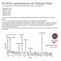 Llimonet Haze Classic THC (Elite Seeds) Femminizzata
