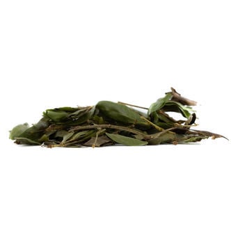 Bobinsana (Calliandra angustifolia) 20 grammi