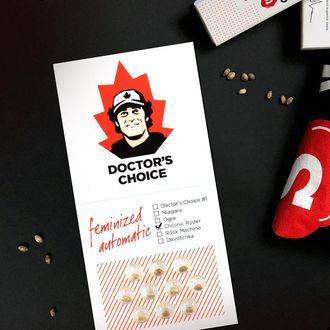 Chronic Ryder Auto (Doctor's Choice) femminizzata