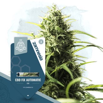 CBD Fix Automatic (Zamnesia Seeds) Femminizzata