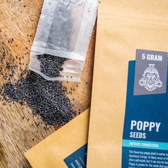 Papavero da Oppio (Papaver somniferum) 5 grammi