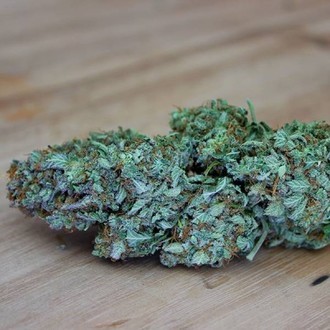 CBD Kong's Kush (Sumo Seeds) Femminizzata