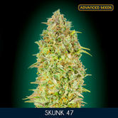 Skunk 47 (Advanced Seeds) Femminizzata