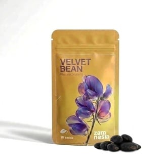 Velvet Bean Semi (Mucuna pruriens)