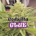 Godzilla Glue (Dr. Underground) femminizzata