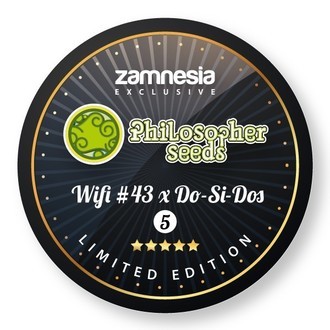 Wifi 43 x Do-Si-Dos (Philosopher Seeds x Zamnesia) femminizzata