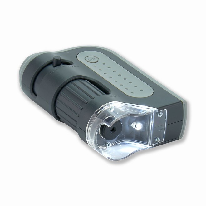 Microscopio Tascabile 50x-300x &ndash; Lente D'Ingrandimento Per Bambini E Raccolta Tricomi