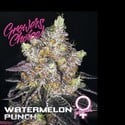 Watermelon Punch (Growers Choice) femminizzata