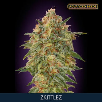 Zkittlez (Advanced Seeds) femminizzata
